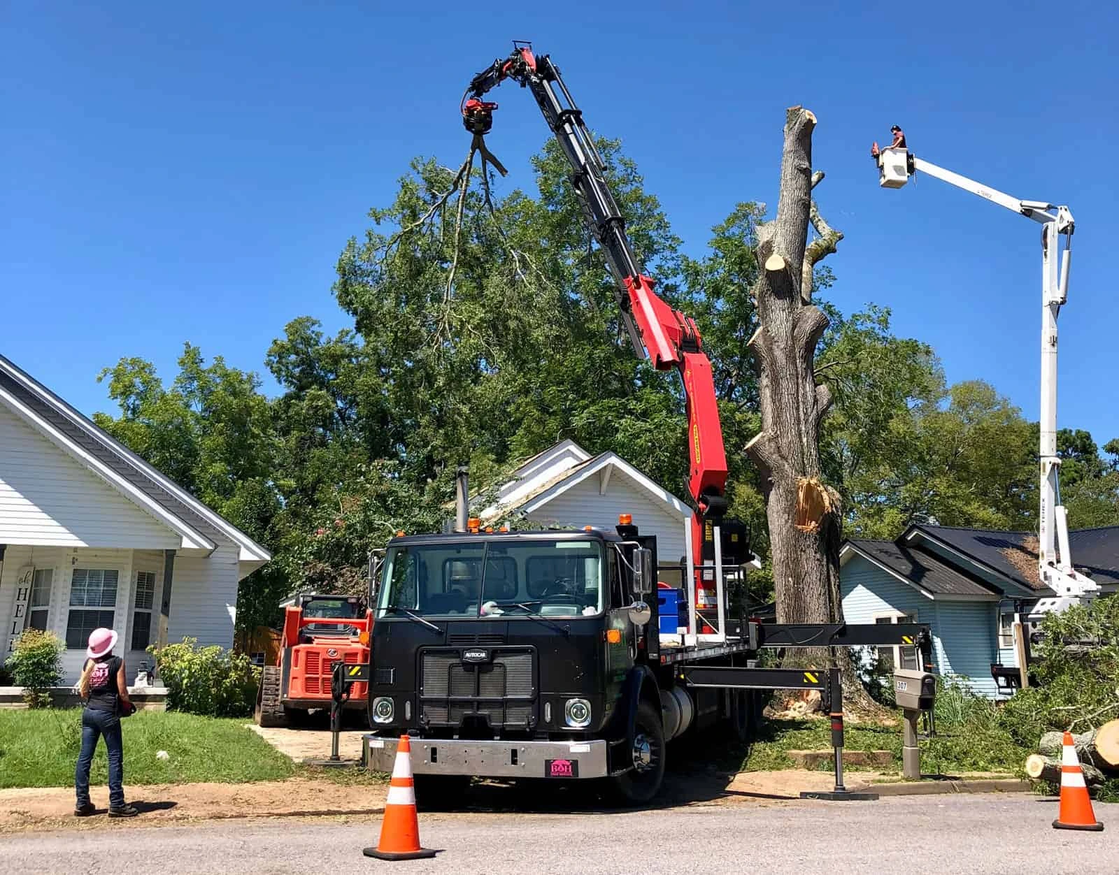 Crane Tree Removal