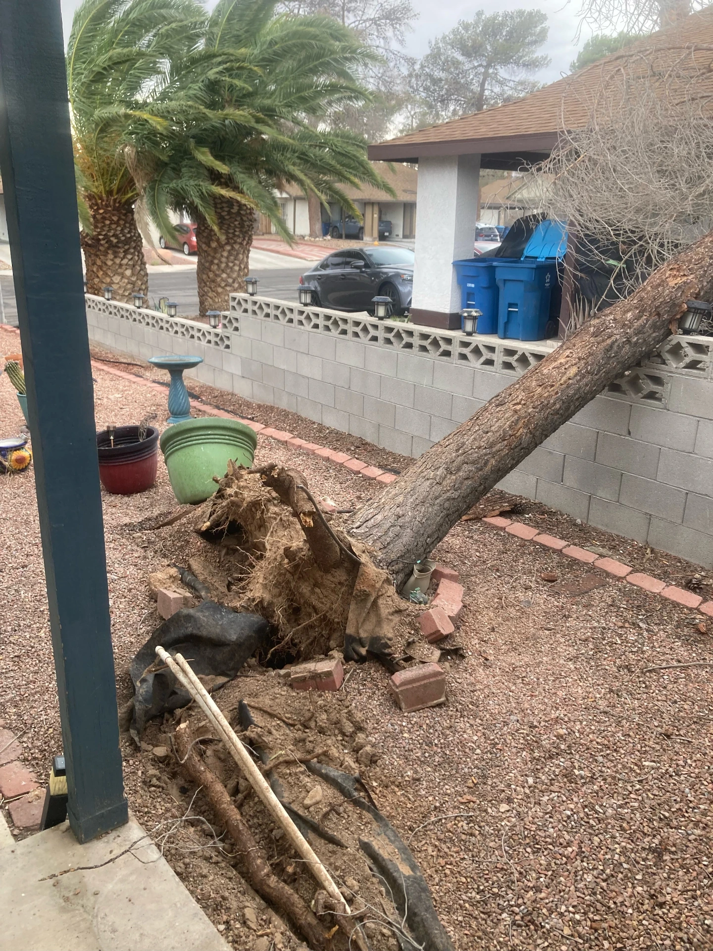 Fallen Tree Removal