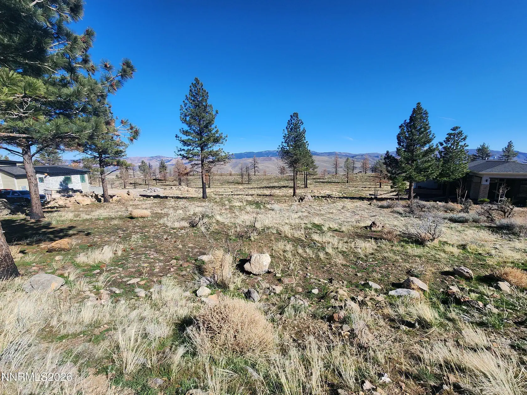 Land Clearing Reno