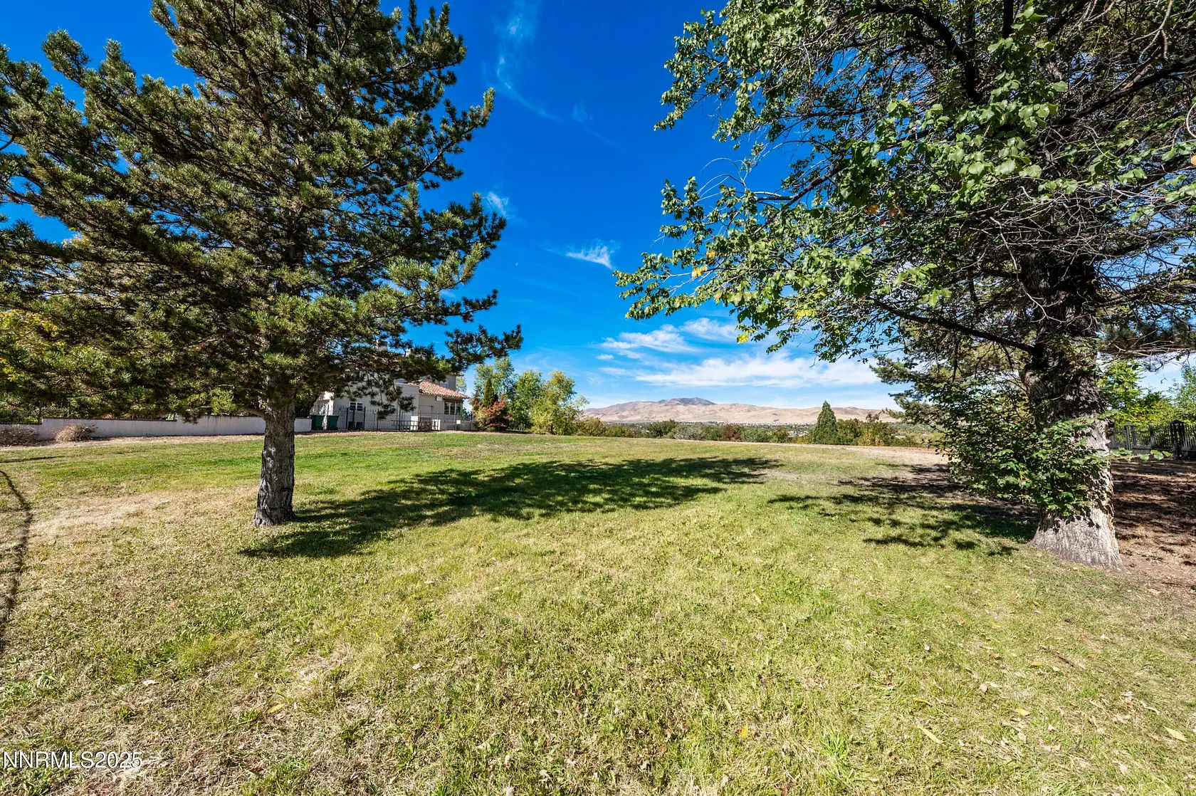Reno Tree Care Service