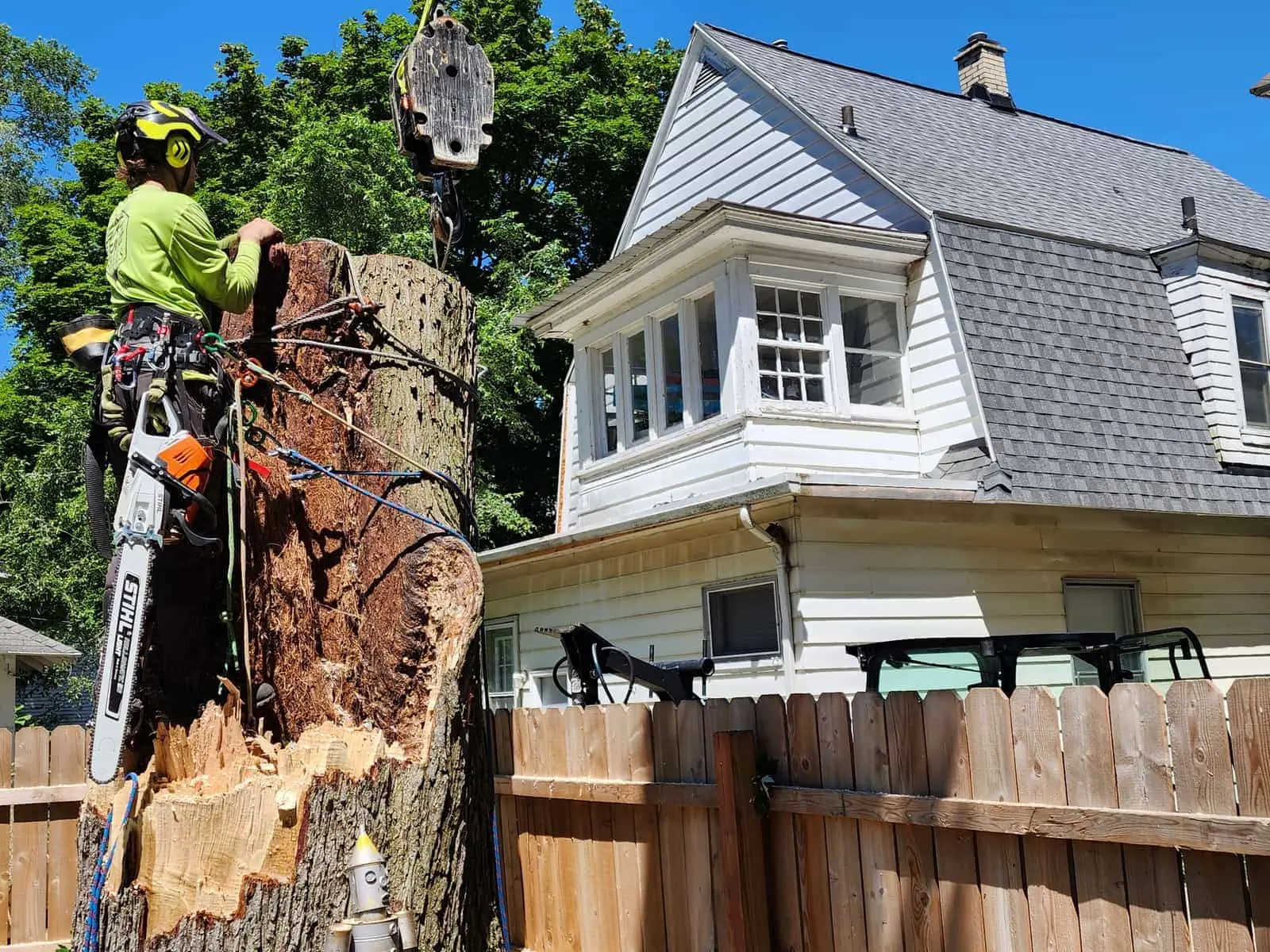 Residential Tree Removal Reno
