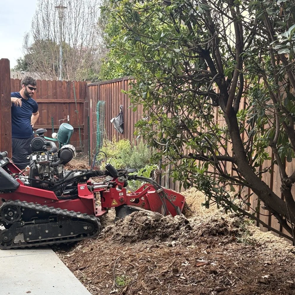 Stump Removal Service
